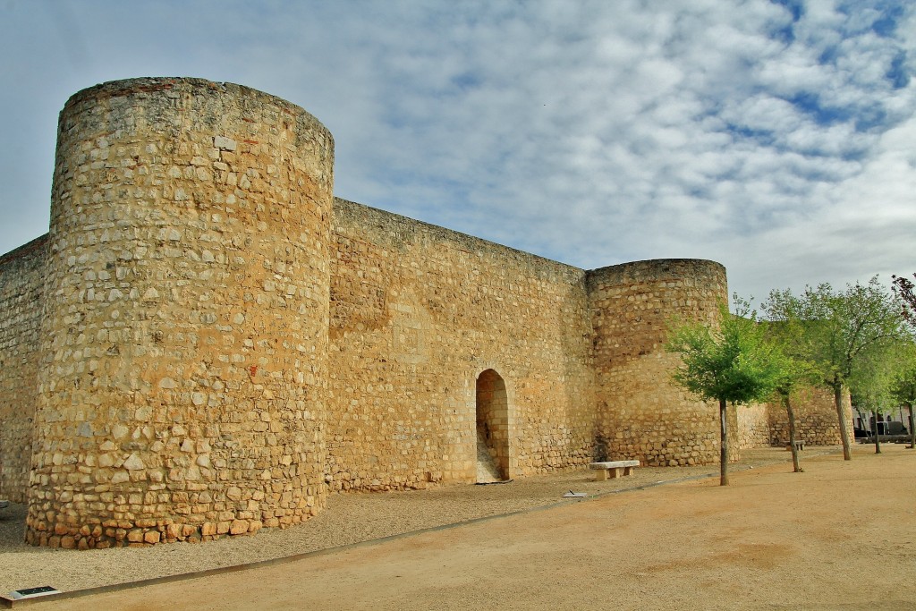 Foto: Alcázar - Toro (Zamora), España