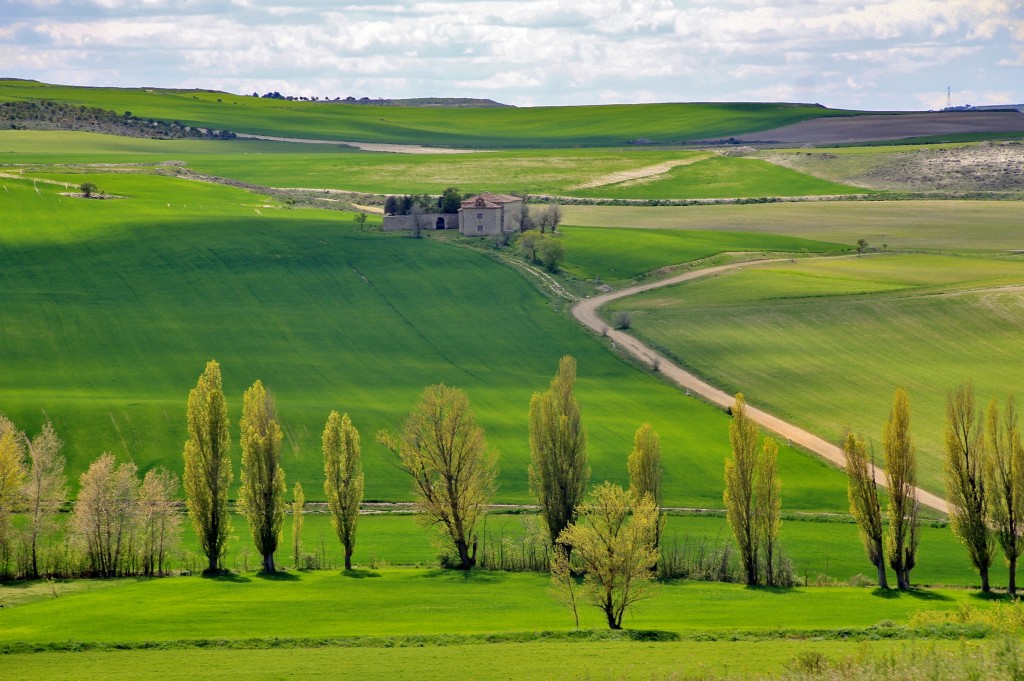 Foto: Vistas - Montealegre de Campos (Valladolid), España