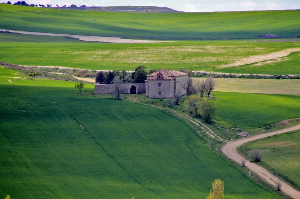Foto: Vistas - Montealegre de Campos (Valladolid), España