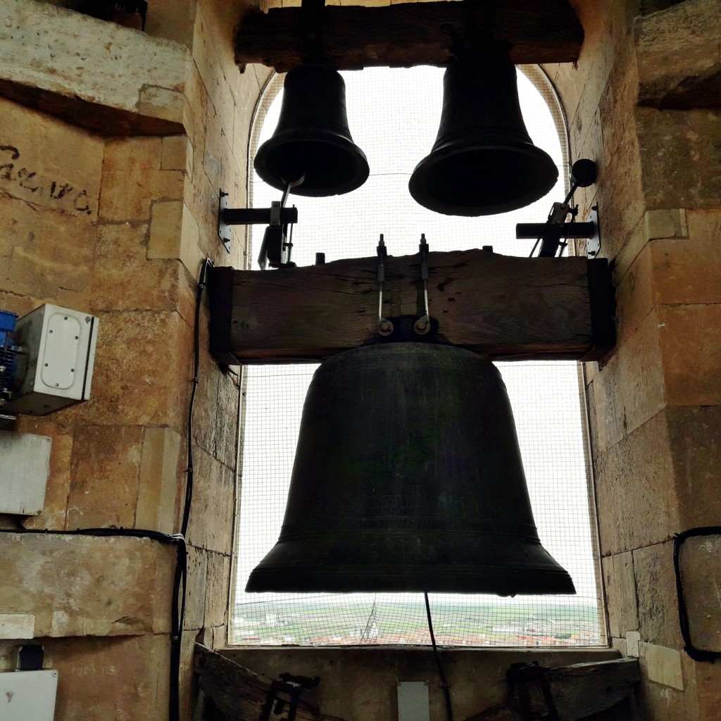 Foto: Colegiata - Toro (Zamora), España