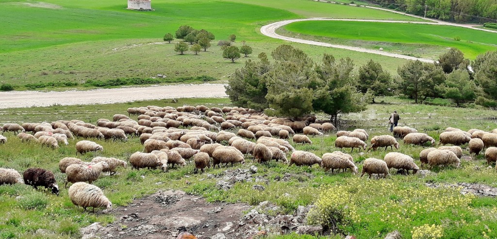 Foto: Vistas - Urueña (Valladolid), España