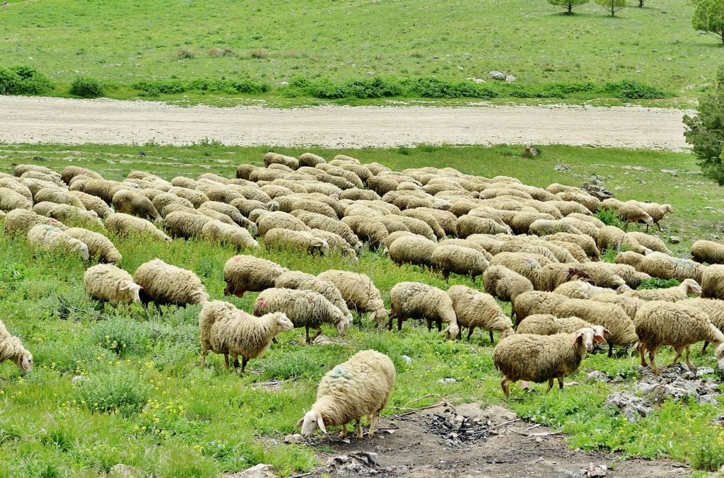 Foto: Vistas - Urueña (Valladolid), España