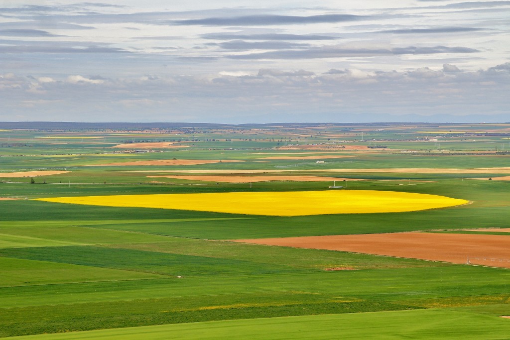 Foto: Vistas - Urueña (Valladolid), España