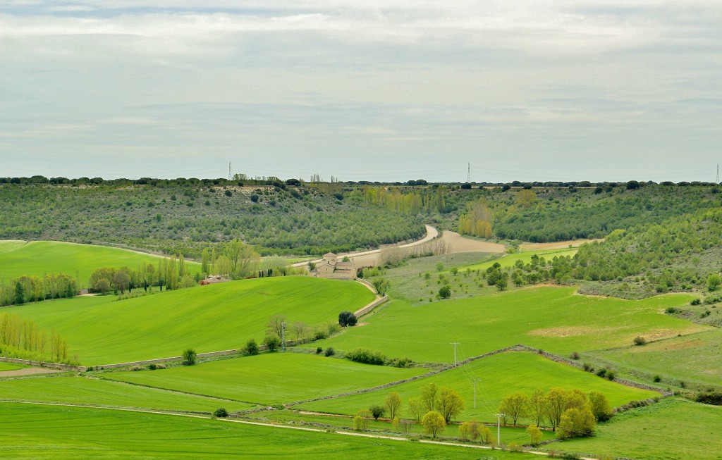 Foto: Vistas - Urueña (Valladolid), España