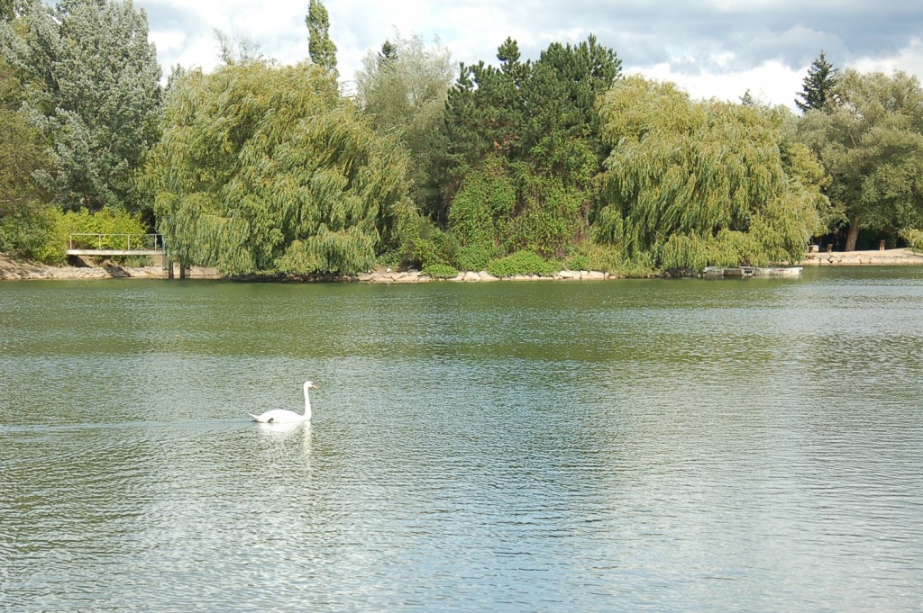 Foto de Puigcerdá (Lleida), España