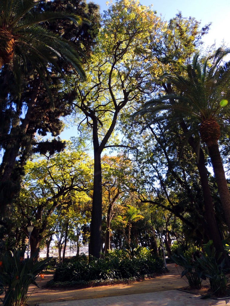 Foto de Málaga (Andalucía), España