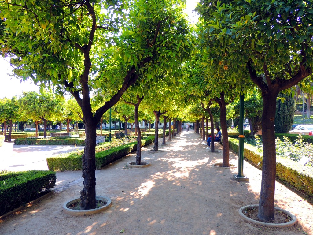 Foto de Málaga (Andalucía), España