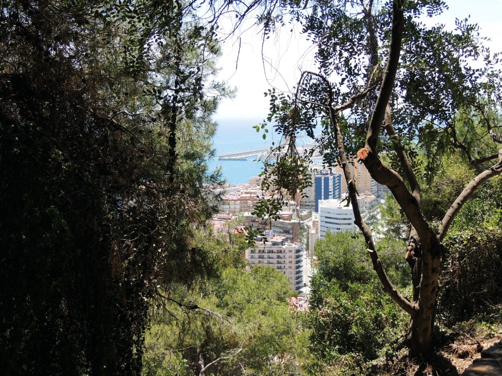 Foto de Málaga (Andalucía), España