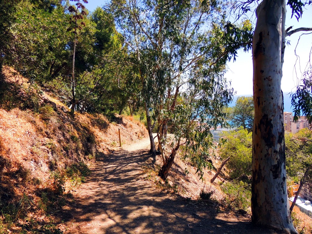 Foto de Málaga (Andalucía), España