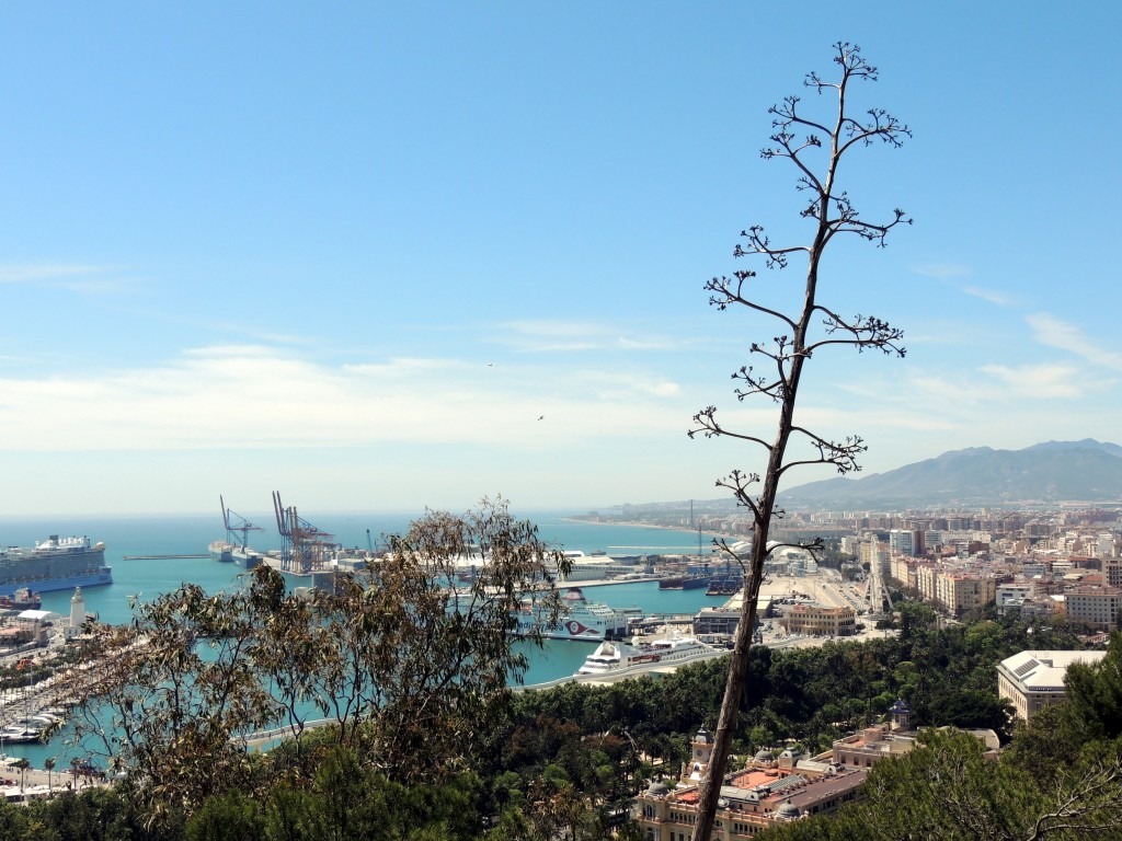 Foto de Málaga (Andalucía), España