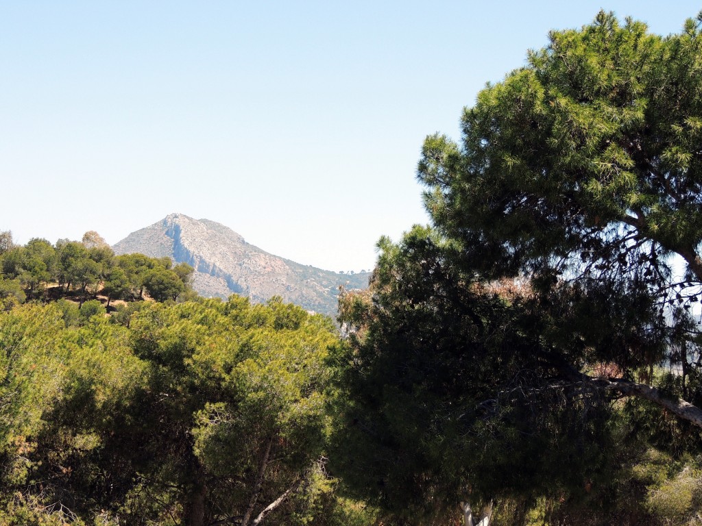 Foto de Málaga (Andalucía), España