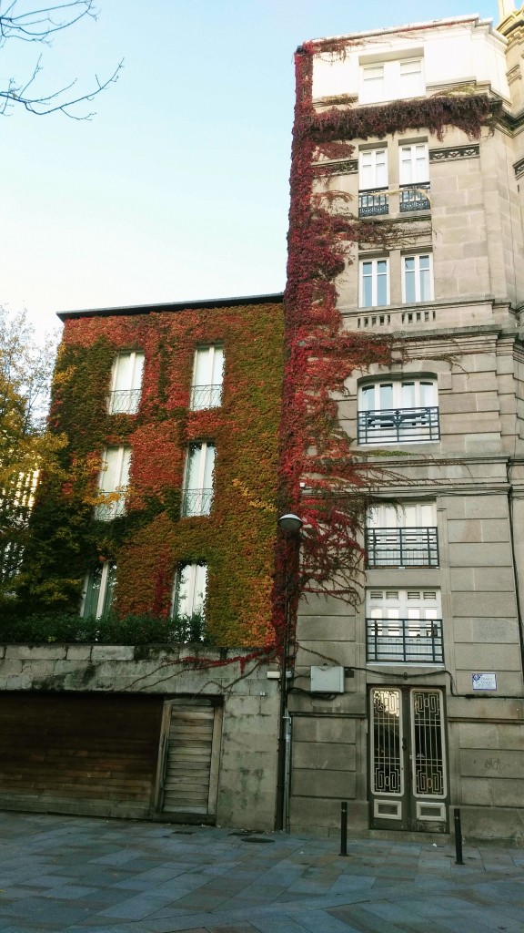Foto: Otoño - Ourense (Galicia), España