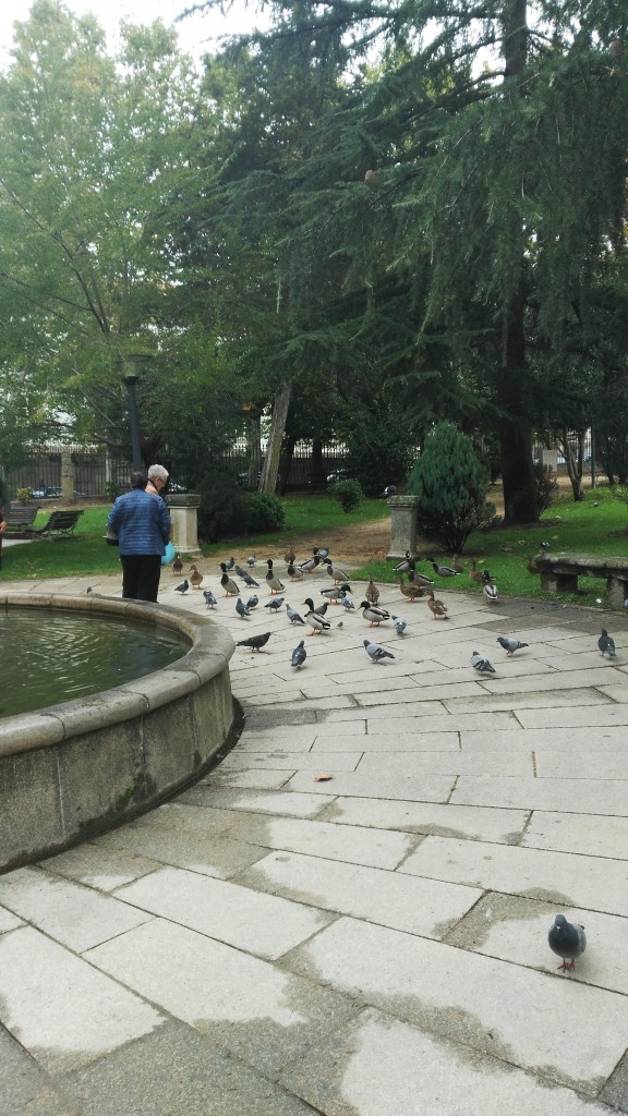 Foto: Jardín Posío - Ourense (Galicia), España