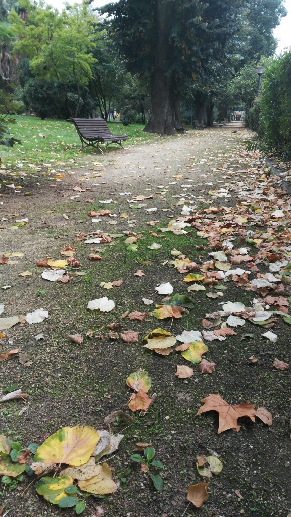 Foto: Otoño - Jardín Posio (Ourense), España
