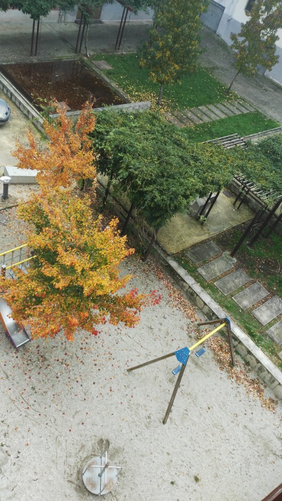 Foto: Otoño - A Cuña (Ourense), España