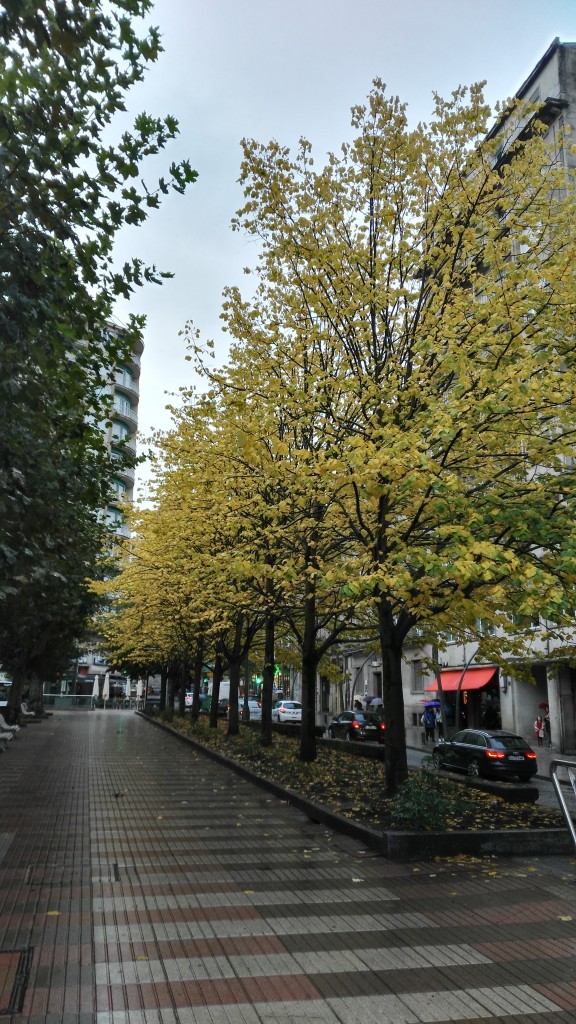 Foto: Otoño, Parque San Lázaro - Ourense (Galicia), España