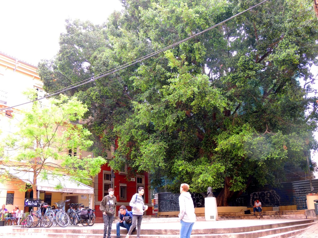 Foto de Málaga (Andalucía), España