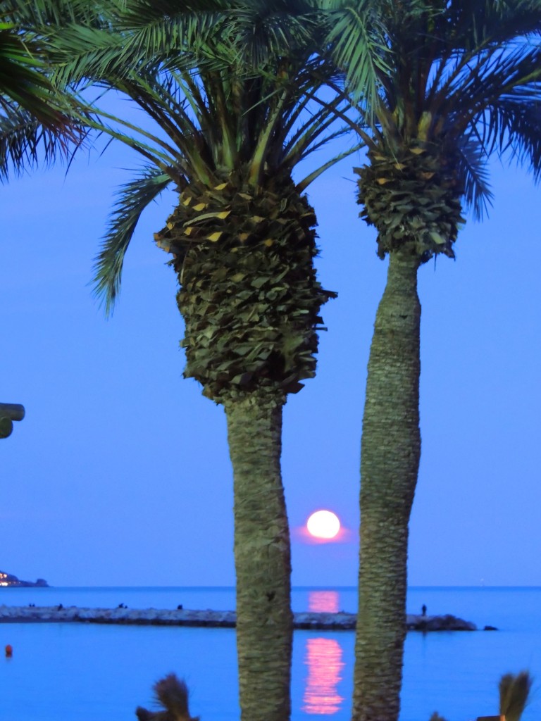 Foto de Málaga (Andalucía), España