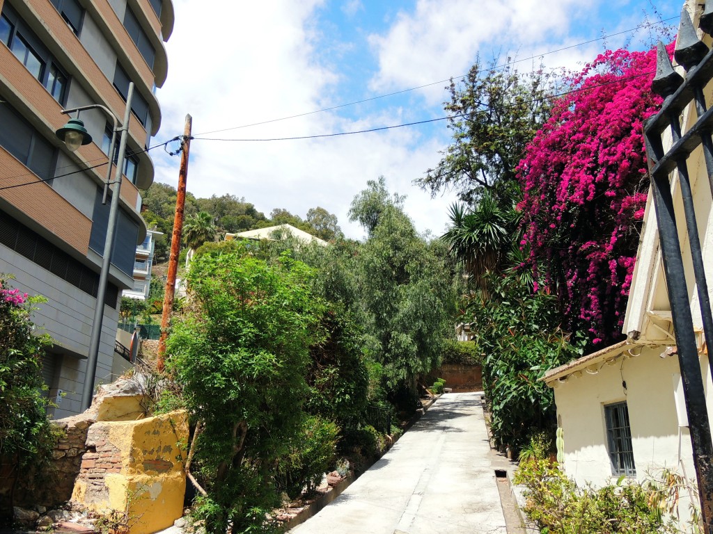 Foto de Málaga (Andalucía), España