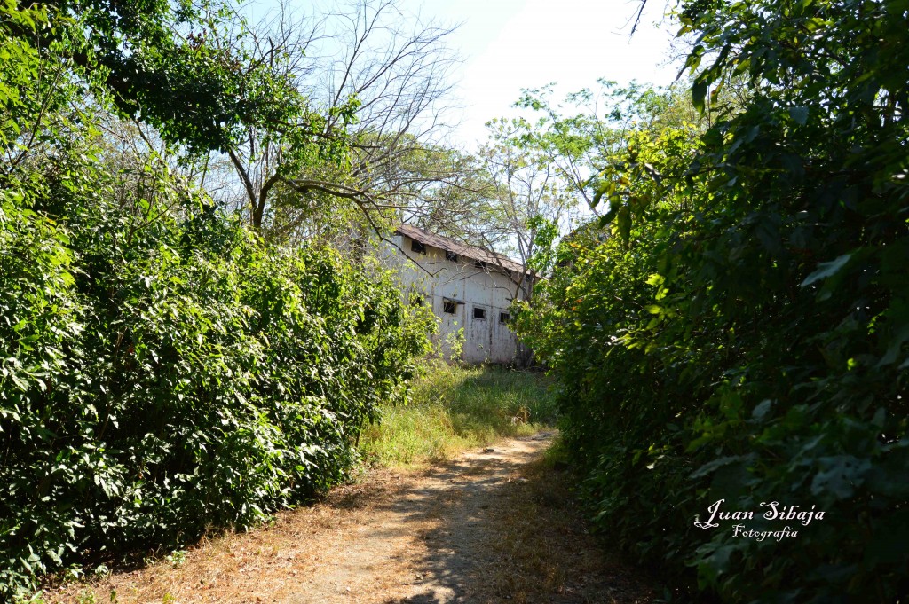 Foto: Antigua Carcel - Isla de San Lucas (Puntarenas), Costa Rica