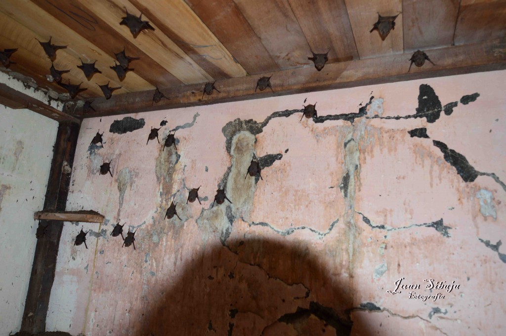 Foto: Antigua Carcel - Isla de San Lucas (Puntarenas), Costa Rica