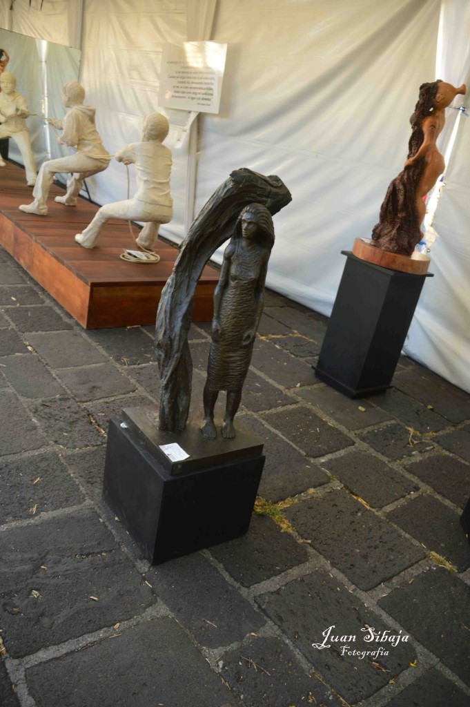 Foto: Expo Nacional De Escultura, Fadrique Gutierrez - Heredia, Costa Rica