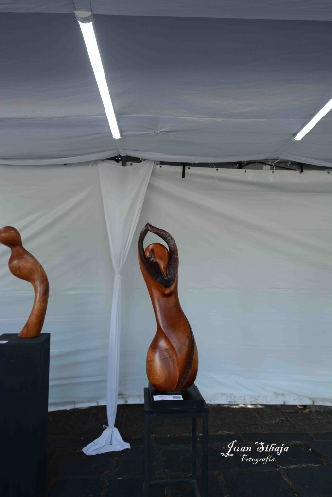 Foto: Expo Nacional De Escultura, Fadrique Gutierrez - Heredia, Costa Rica