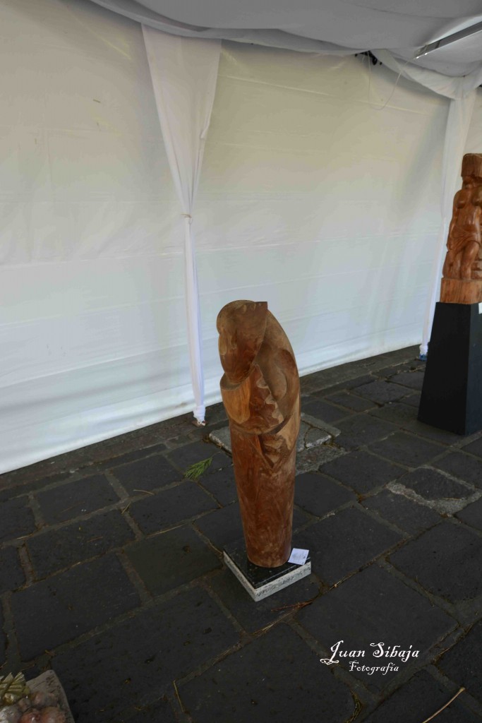 Foto: Expo Nacional De Escultura, Fadrique Gutierrez - Heredia, Costa Rica