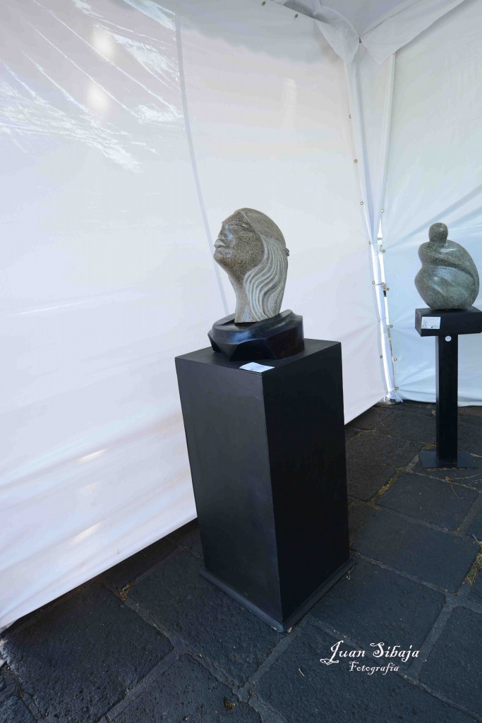 Foto: Expo Nacional De Escultura, Fadrique Gutierrez - Heredia, Costa Rica