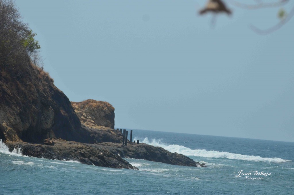 Foto de Playa Leona (Puntarenas), Costa Rica