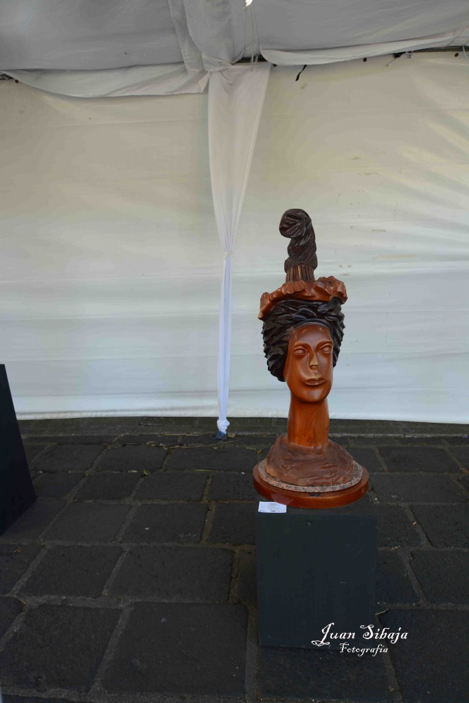 Foto: Expo Nacional De Escultura, Fadrique Gutierrez - Heredia, Costa Rica