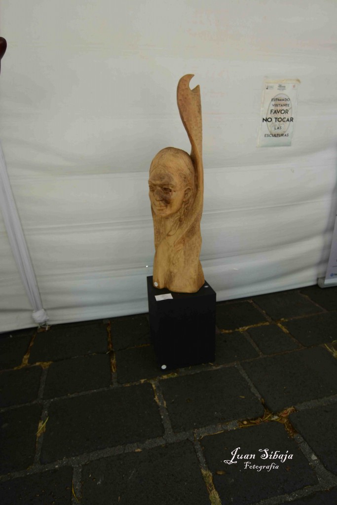 Foto: Expo Nacional De Escultura, Fadrique Gutierrez - Heredia, Costa Rica
