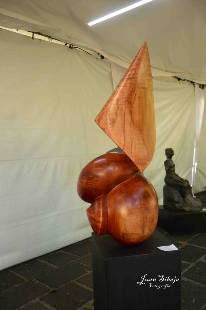 Foto: Expo Nacional De Escultura, Fadrique Gutierrez - Heredia, Costa Rica