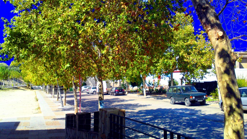 Foto: Calle Alcalde Arturo Mariscal - San José del Valle (Cádiz), España