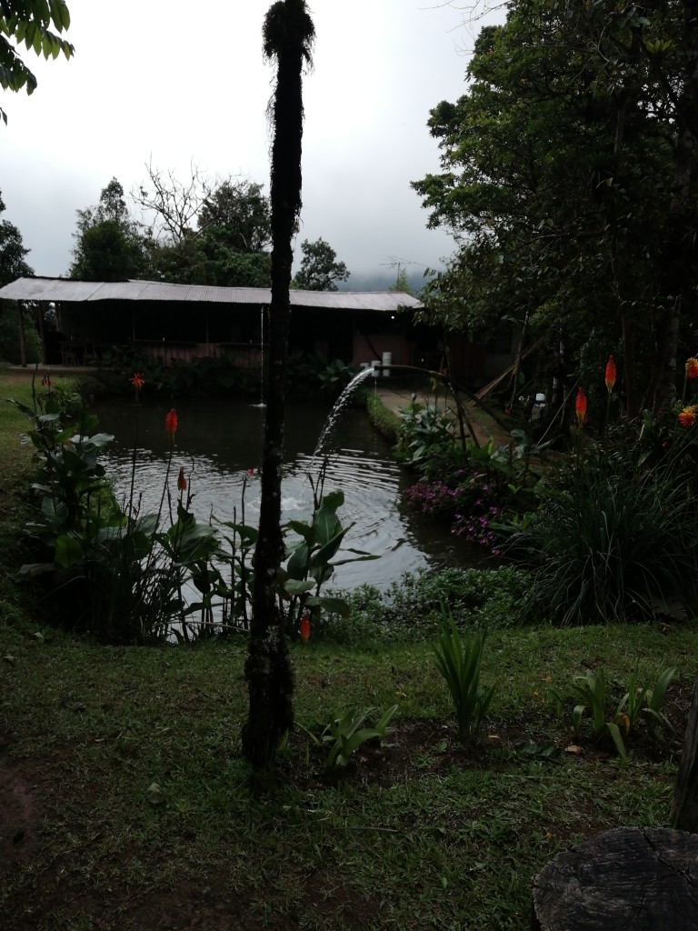 Foto: Truchera la pz - La Paz (Cartago), Costa Rica