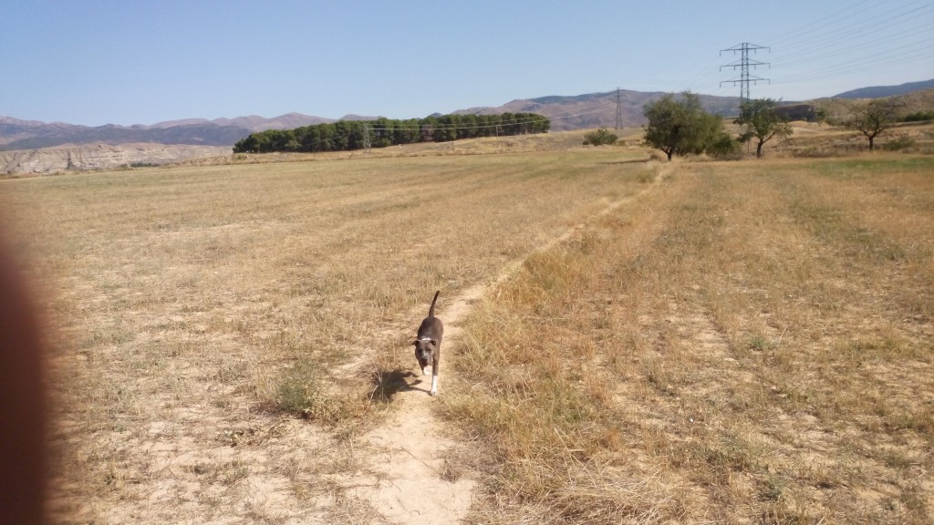 Foto de Calatayud (Zaragoza), España