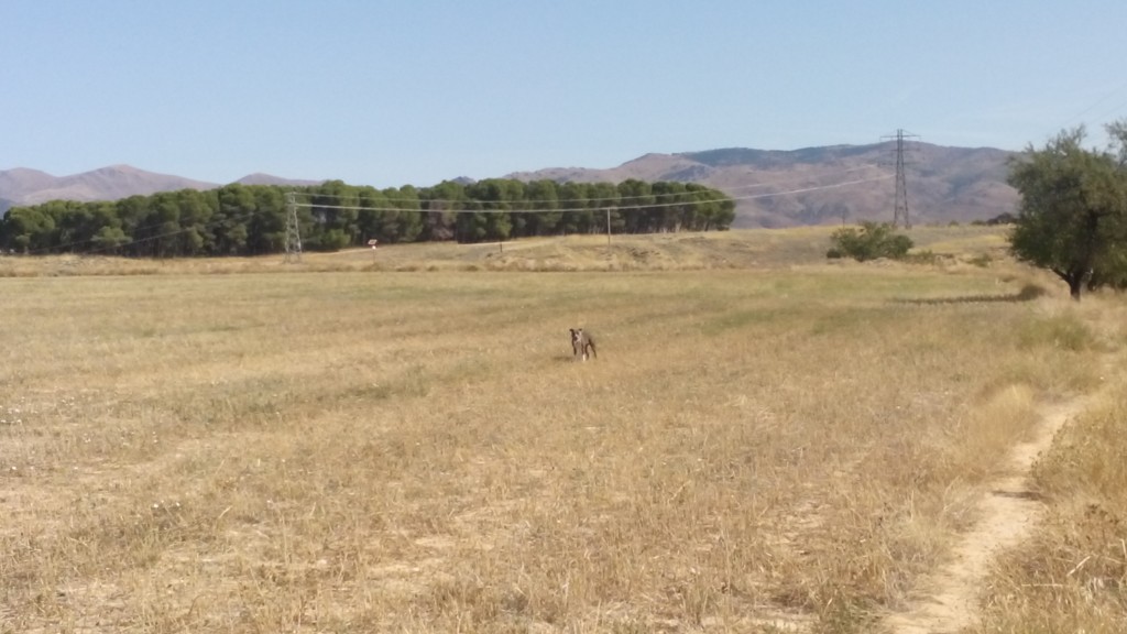 Foto de Calatayud (Zaragoza), España