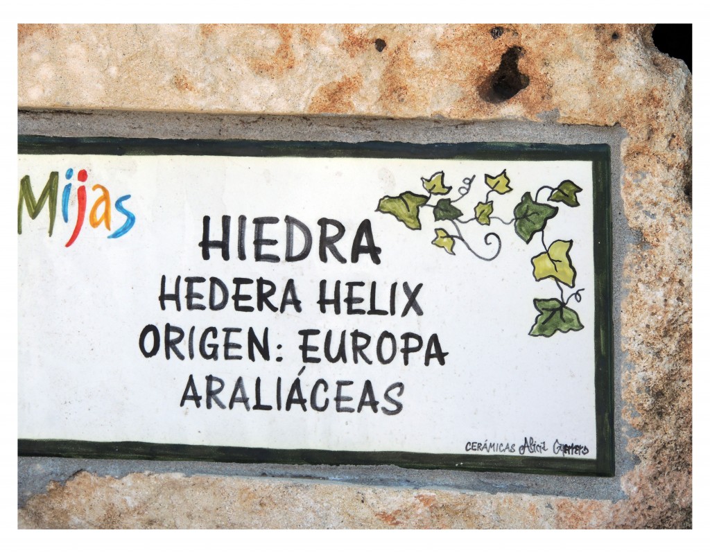 Foto de Mijas (Málaga), España