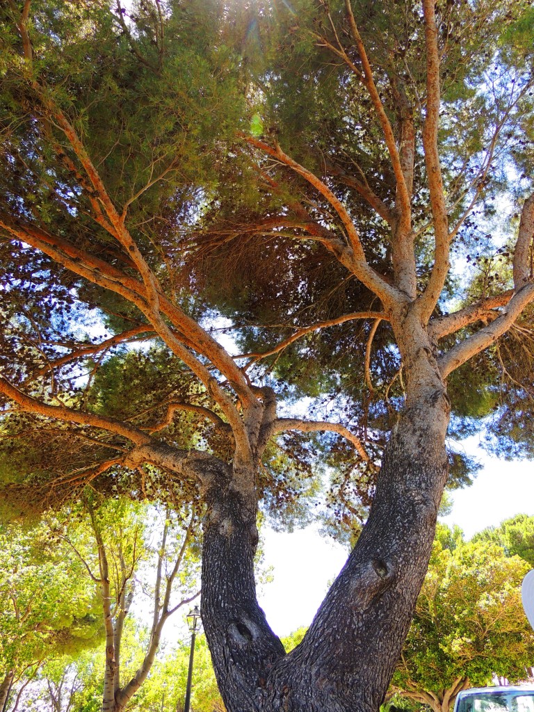 Foto de Mijas (Málaga), España