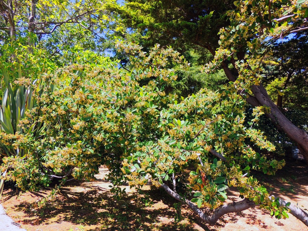 Foto de Mijas (Málaga), España