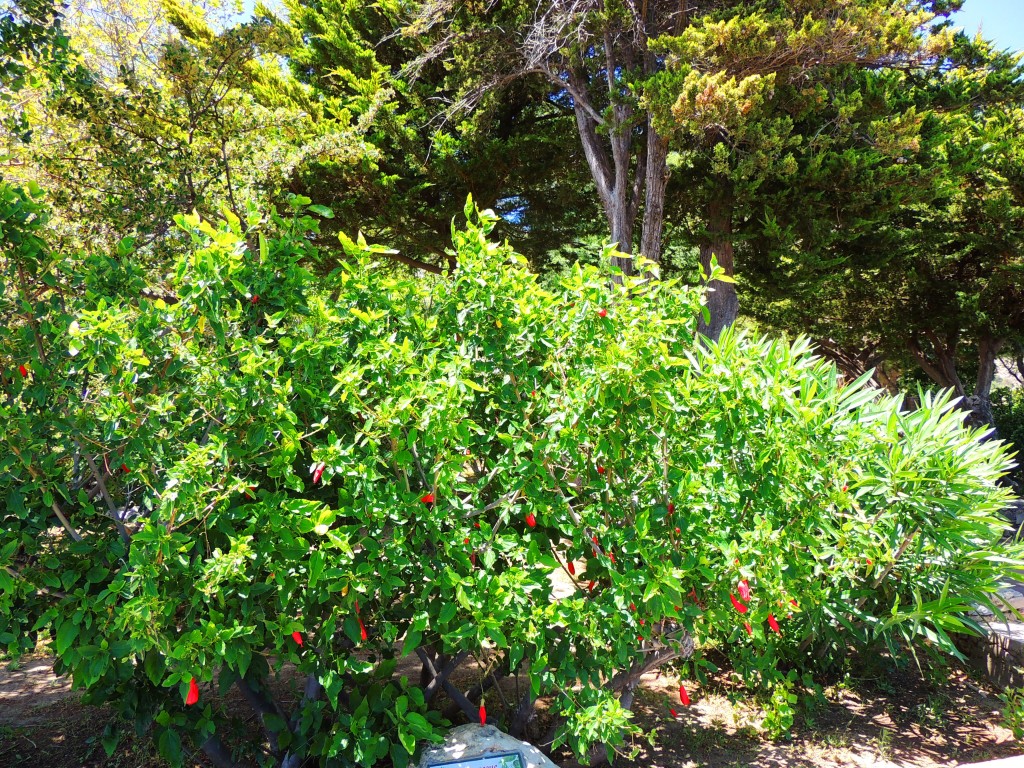 Foto de Mijas (Málaga), España