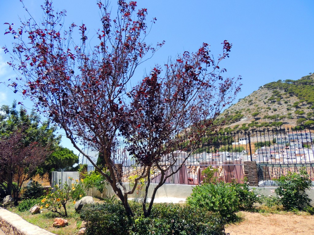 Foto de Mijas (Málaga), España