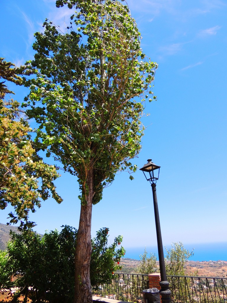 Foto de Mijas (Málaga), España