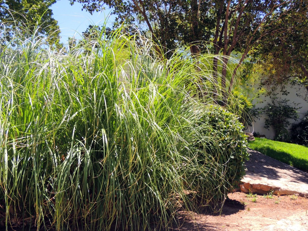 Foto de Mijas (Málaga), España