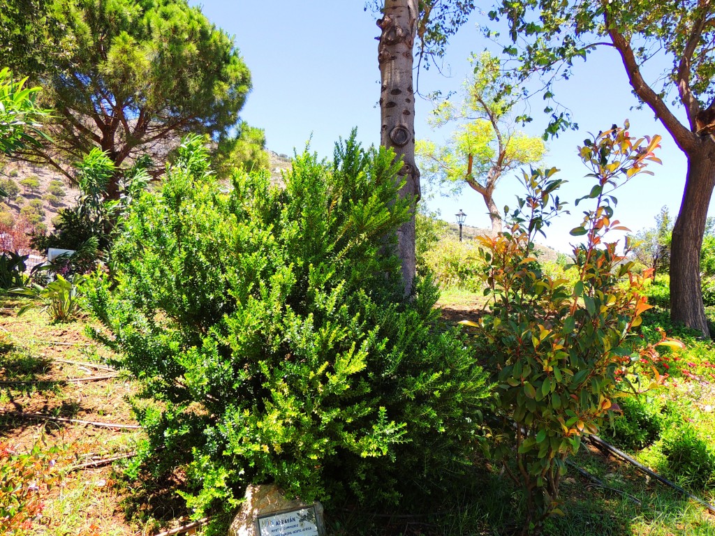 Foto de Mijas (Málaga), España