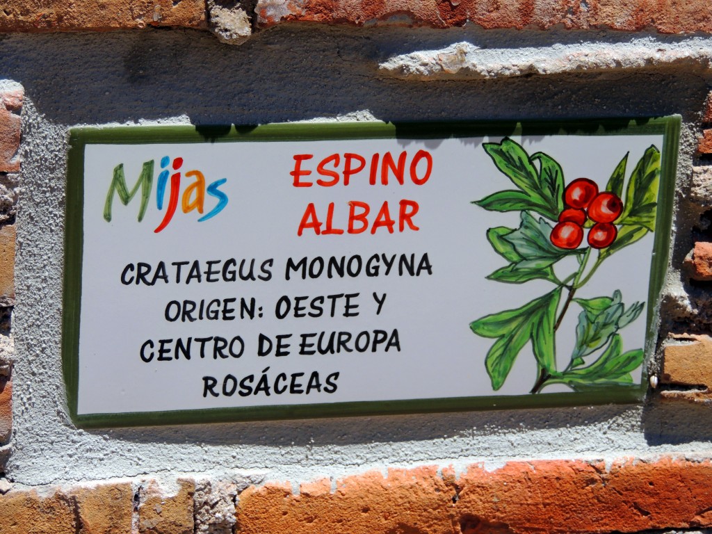 Foto de Mijas (Málaga), España