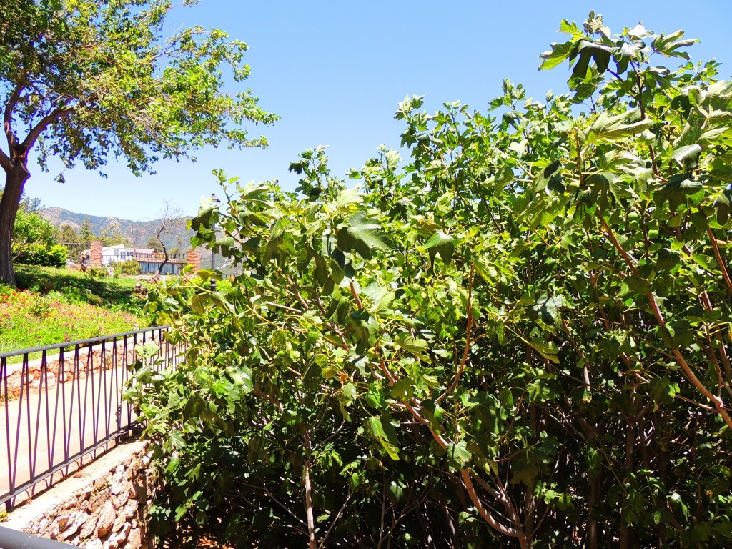 Foto de Mijas (Málaga), España