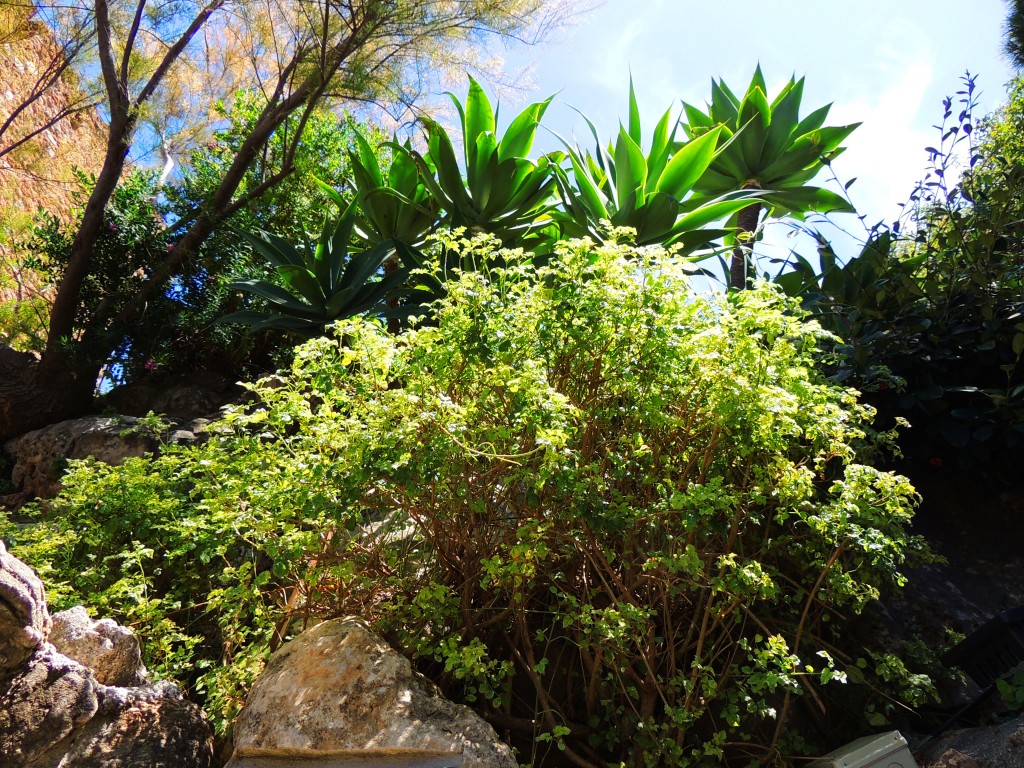 Foto de Mijas (Málaga), España