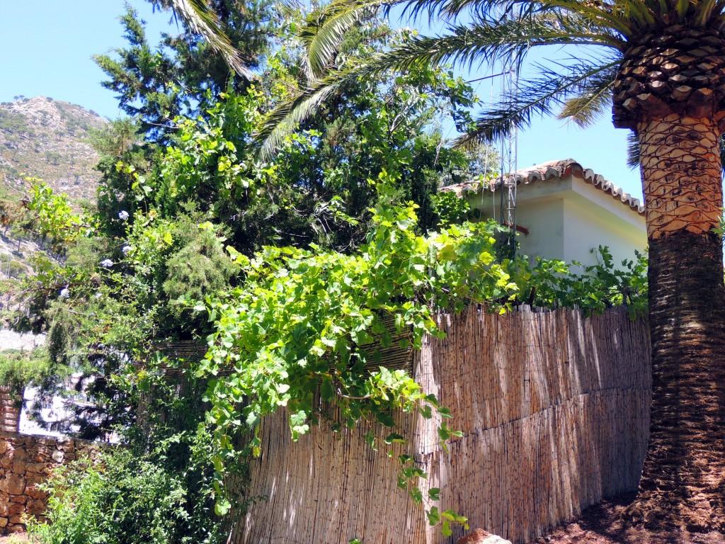 Foto de Mijas (Málaga), España