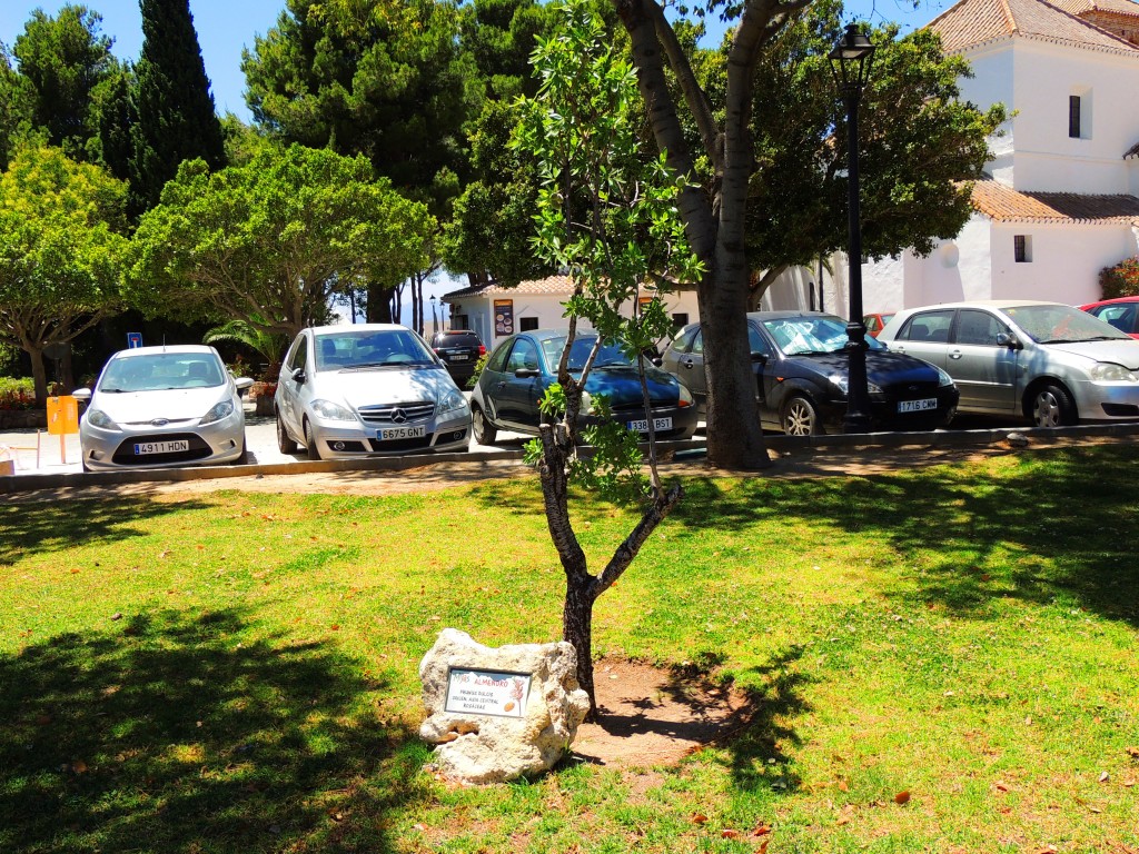 Foto de Mijas (Málaga), España